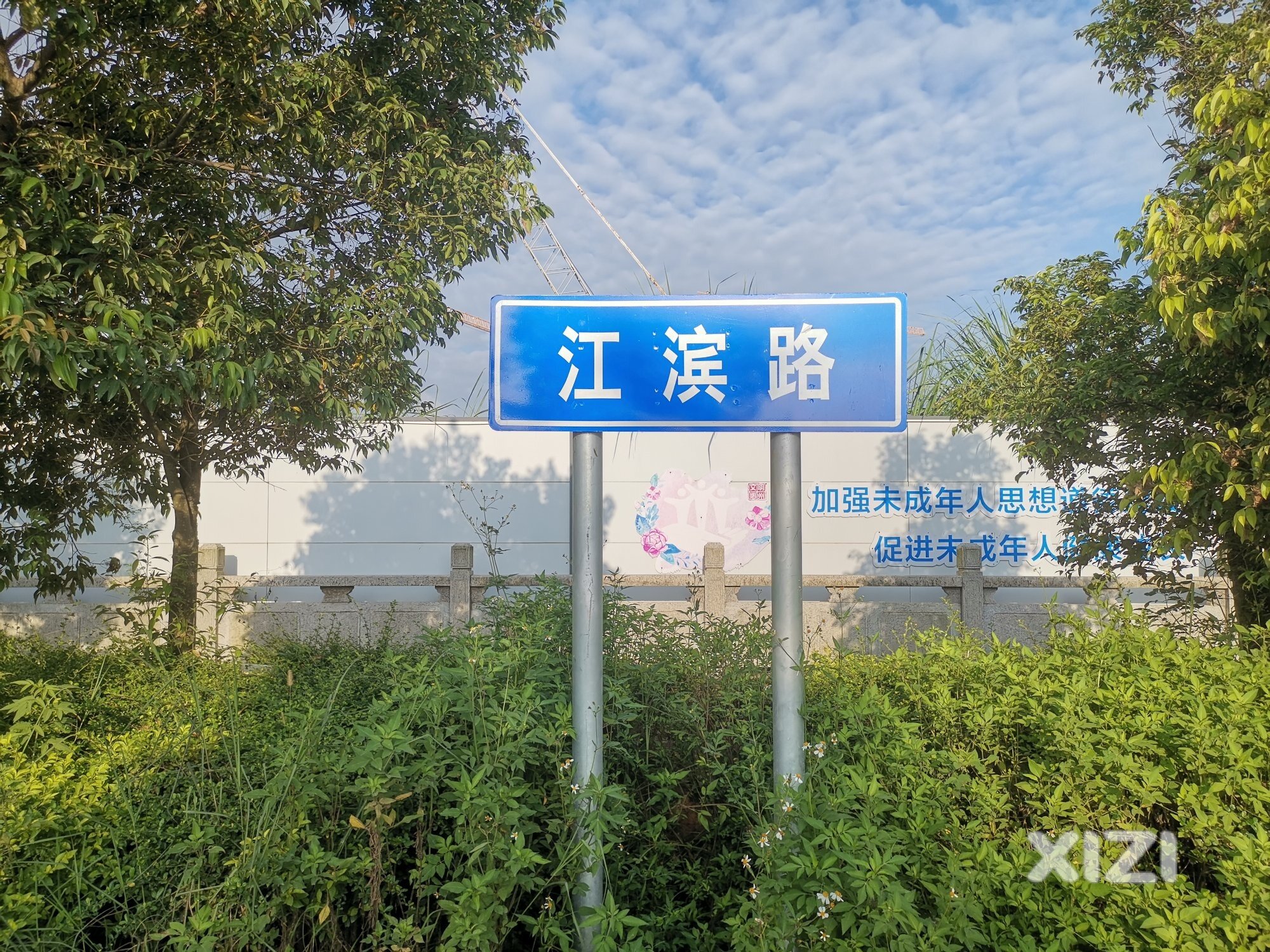 生态美的江滨路 。。。