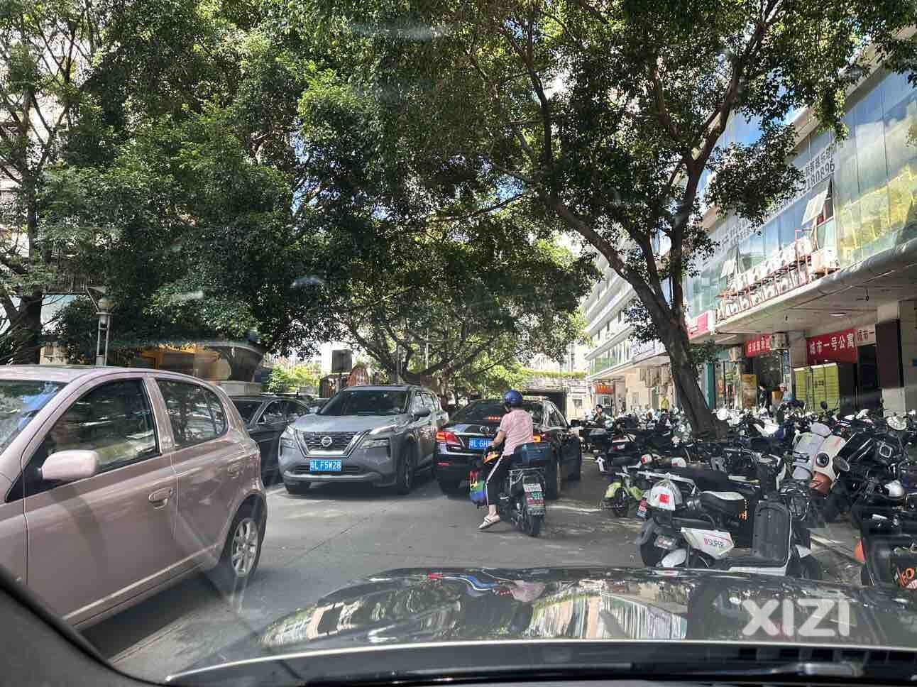 城市一号公寓楼下的电鸡们，你们就快占领地球了。