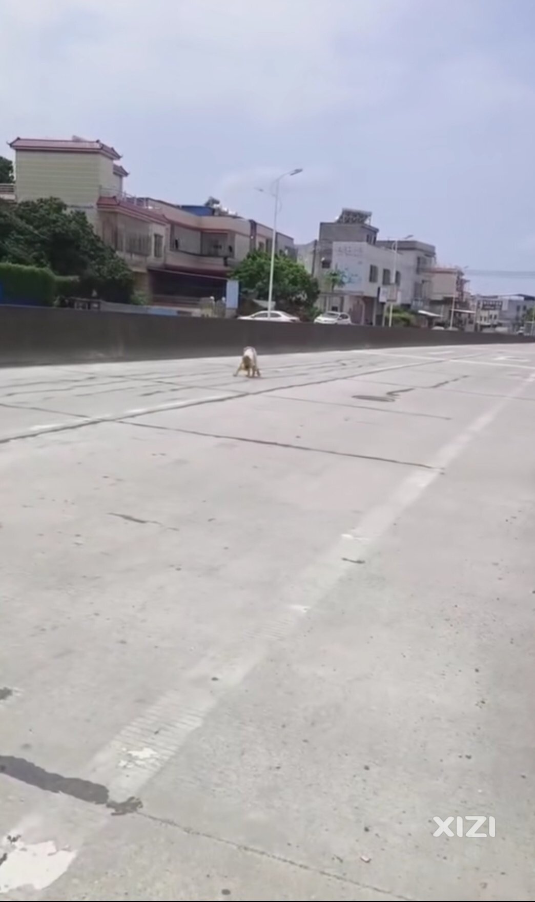 九龙峰旅游区增光社区这段时间发生大事