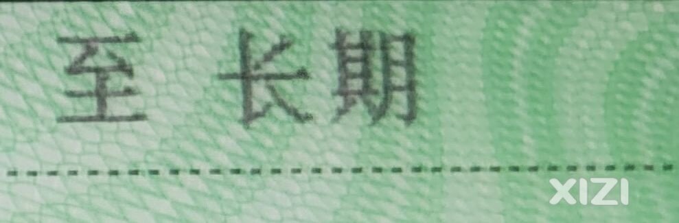 有长期驾驶证的，进来聊聊