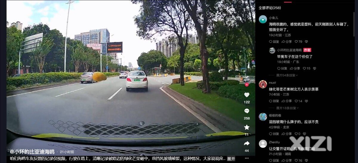 芒果挺大的哦