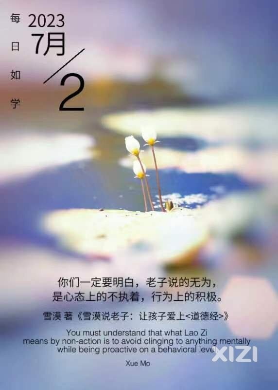 雪语1313
