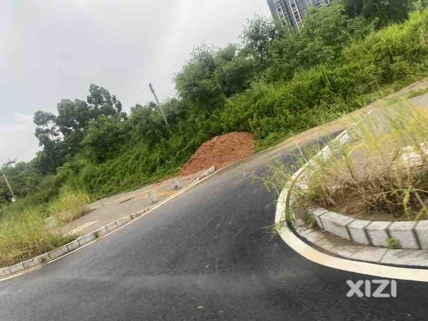 这条路变成垃圾奇倾倒场