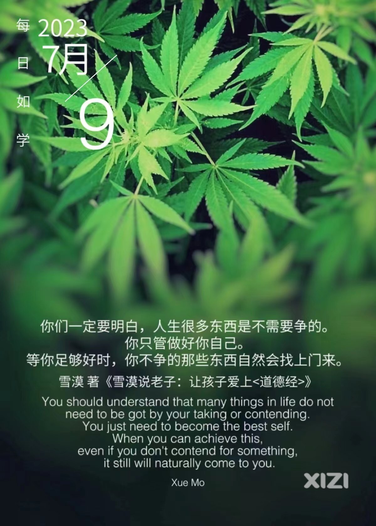 雪语1320
