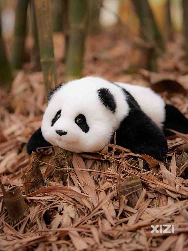 不靠谱 不靠谱