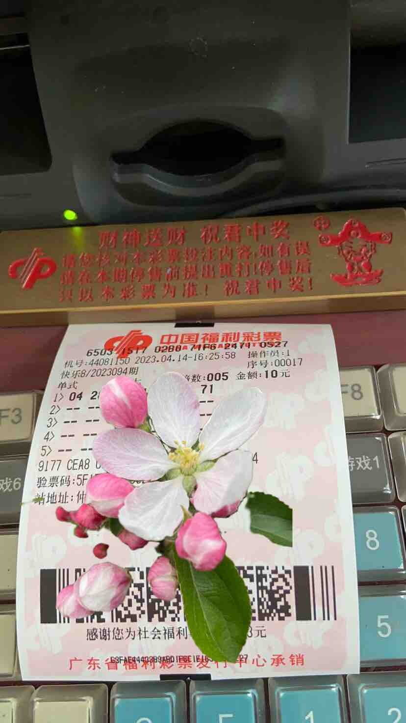 今晚大投一把，血亏10元