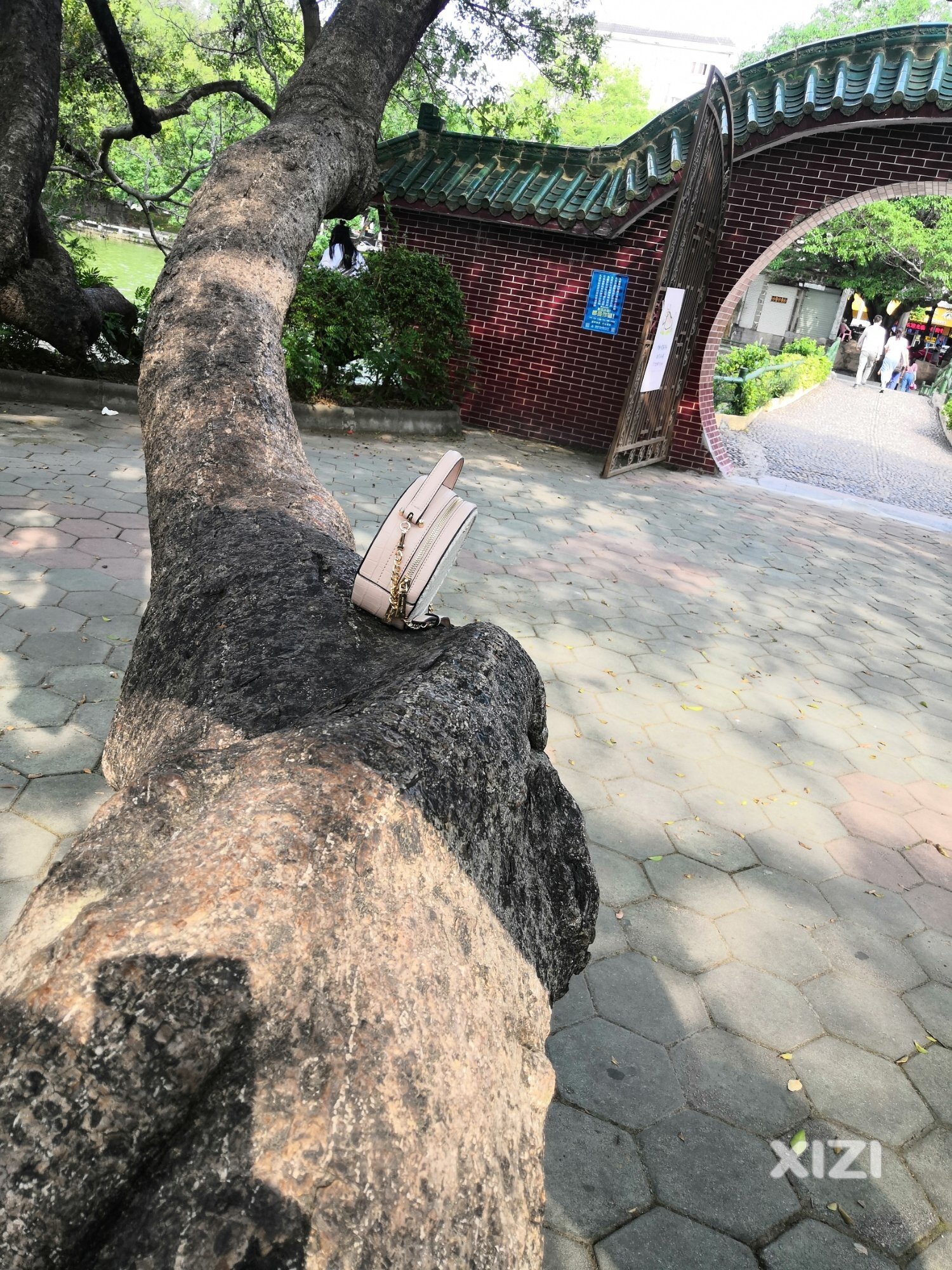 那位西湖游客拍照忘拿