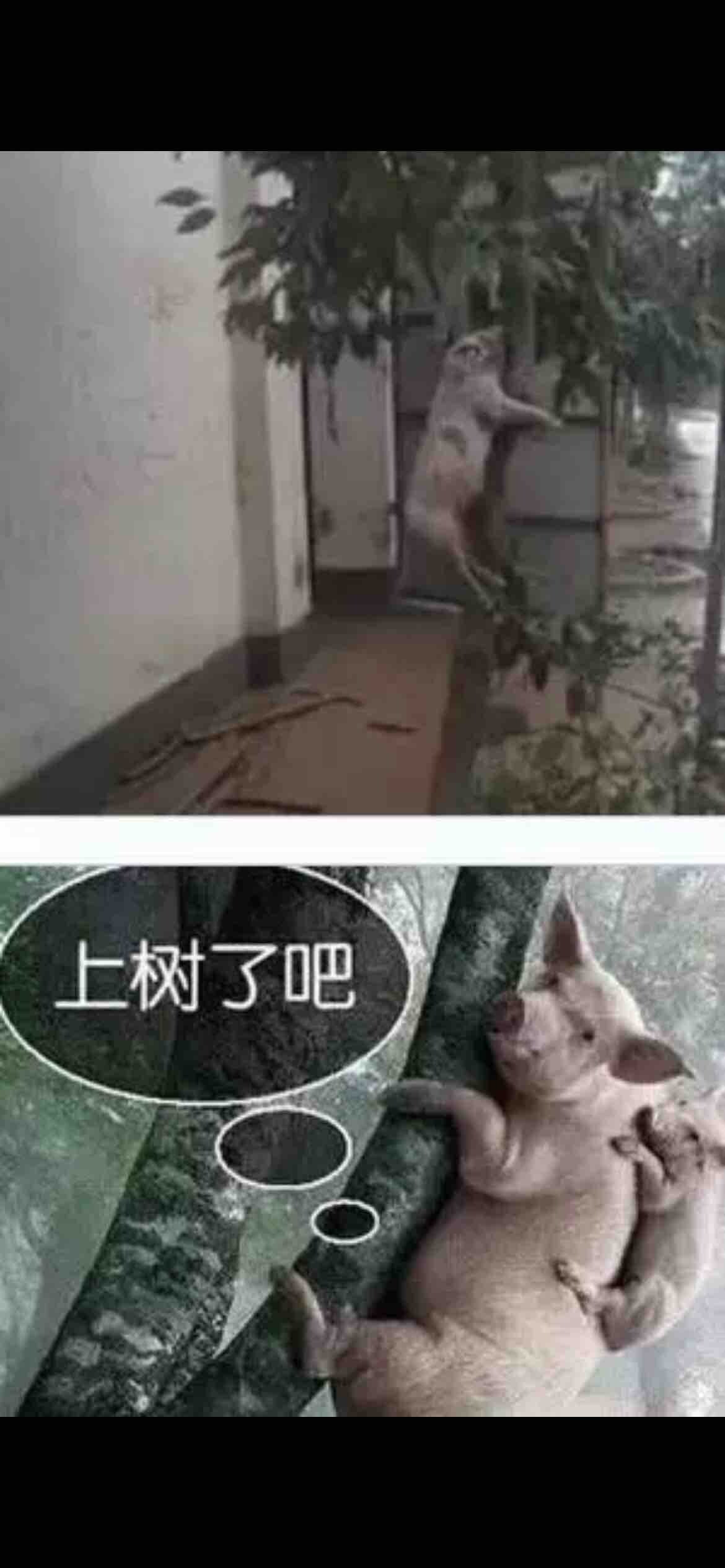 发酒疯的人