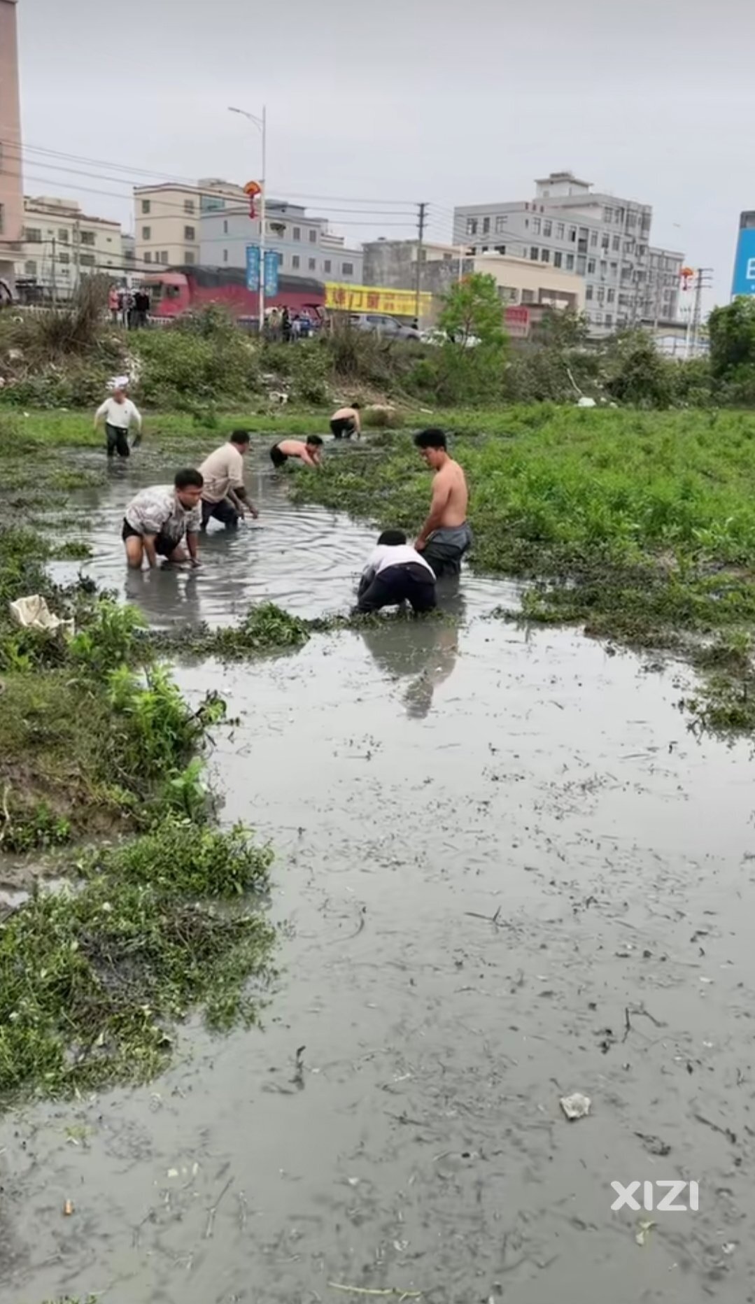 吉隆这里臭水地方好多人在抓鱼！这些鱼能吃？