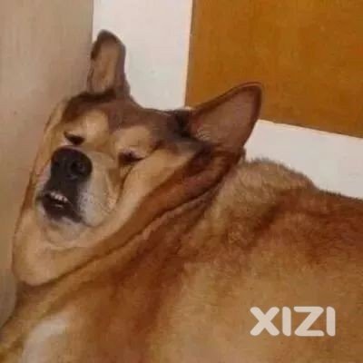 喜欢上班的人有福了