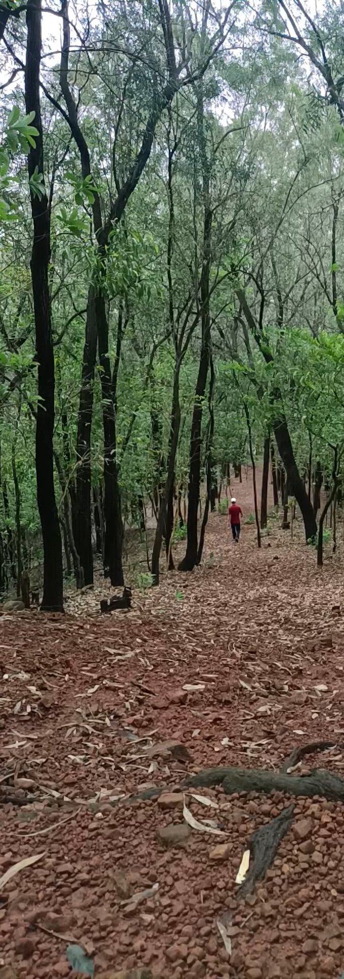 登山