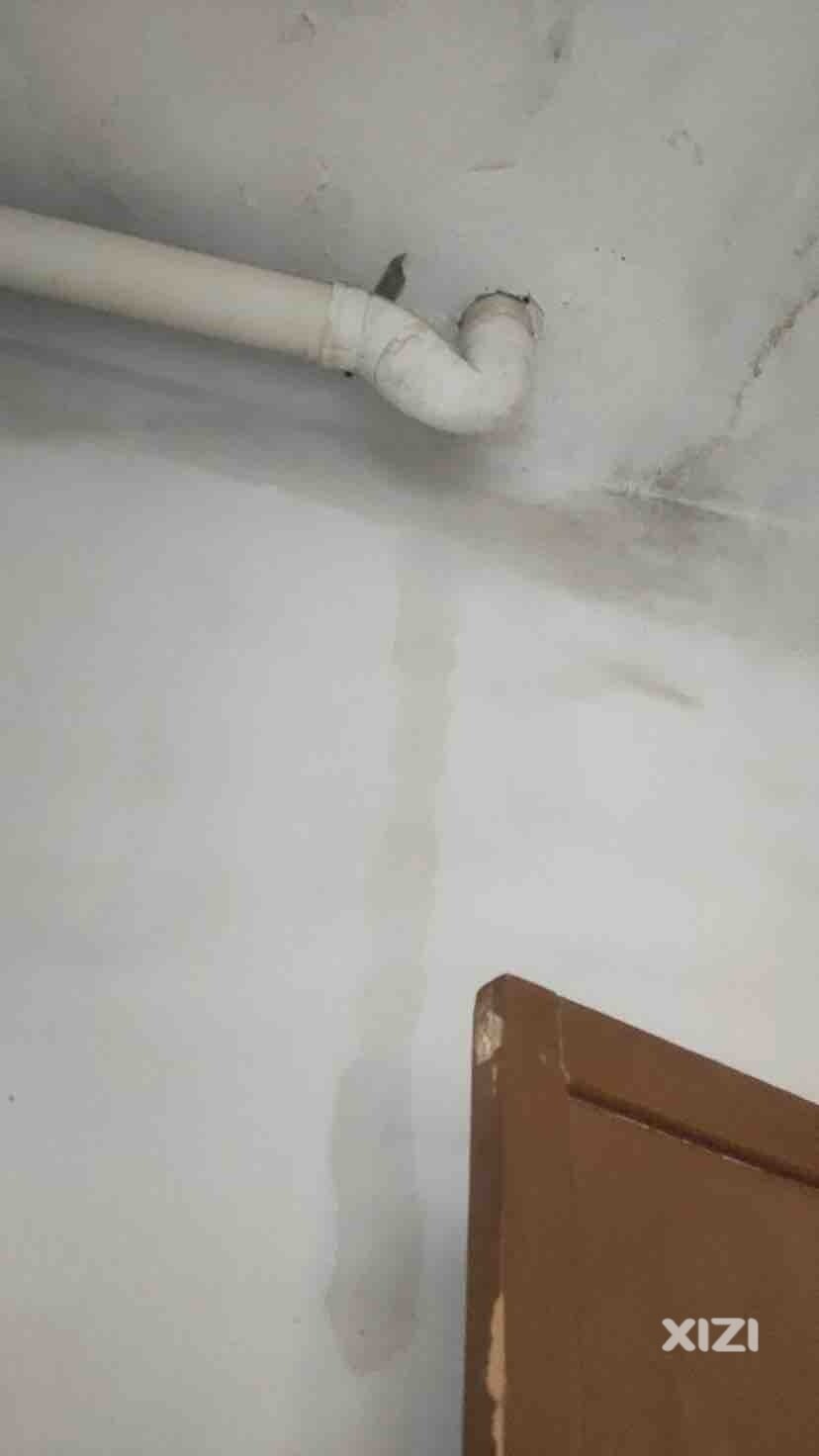 卫生间漏水、渗水，有没有可靠可信的介绍