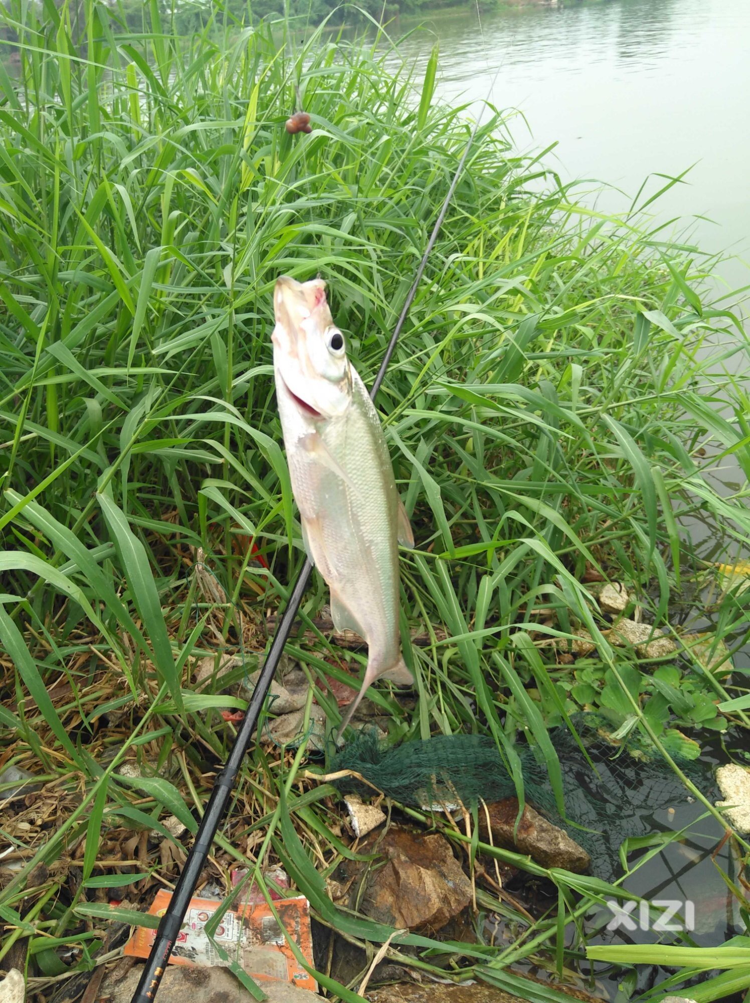钓鱼了喂