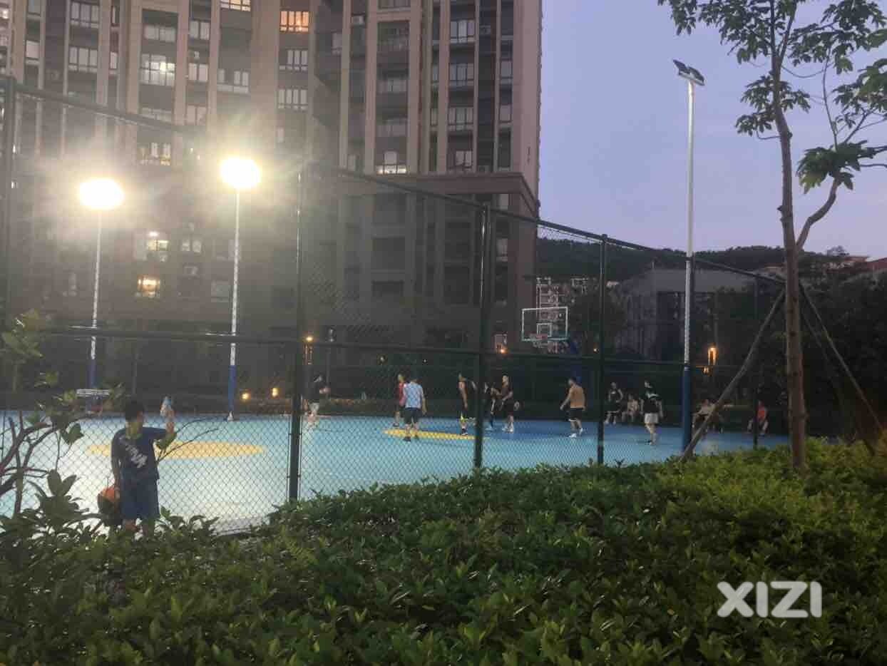 西湖三里物业严重不作为三番五次允许陌生人进入小区占用业主体育场所