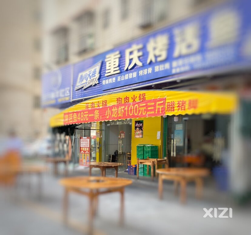 实践证明：家长替孩子做的决定非常重要