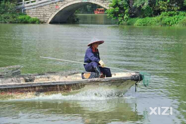西湖的守护天使