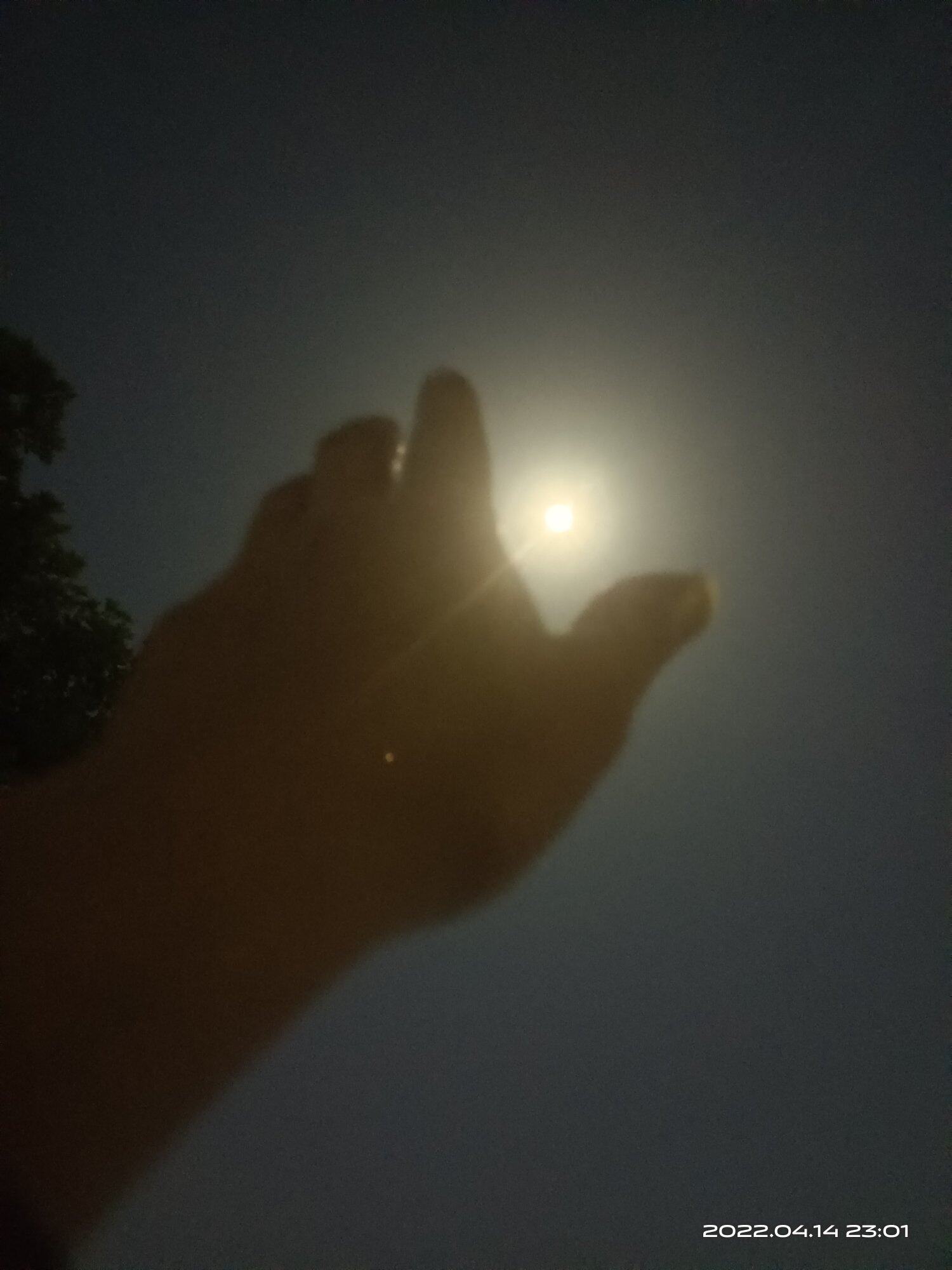 另一半