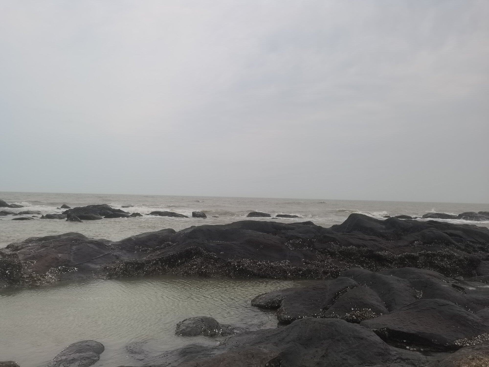 夏天赶海日记