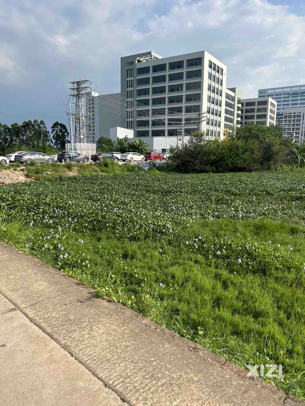 马安耕地都建公司，还说保护耕地面积……