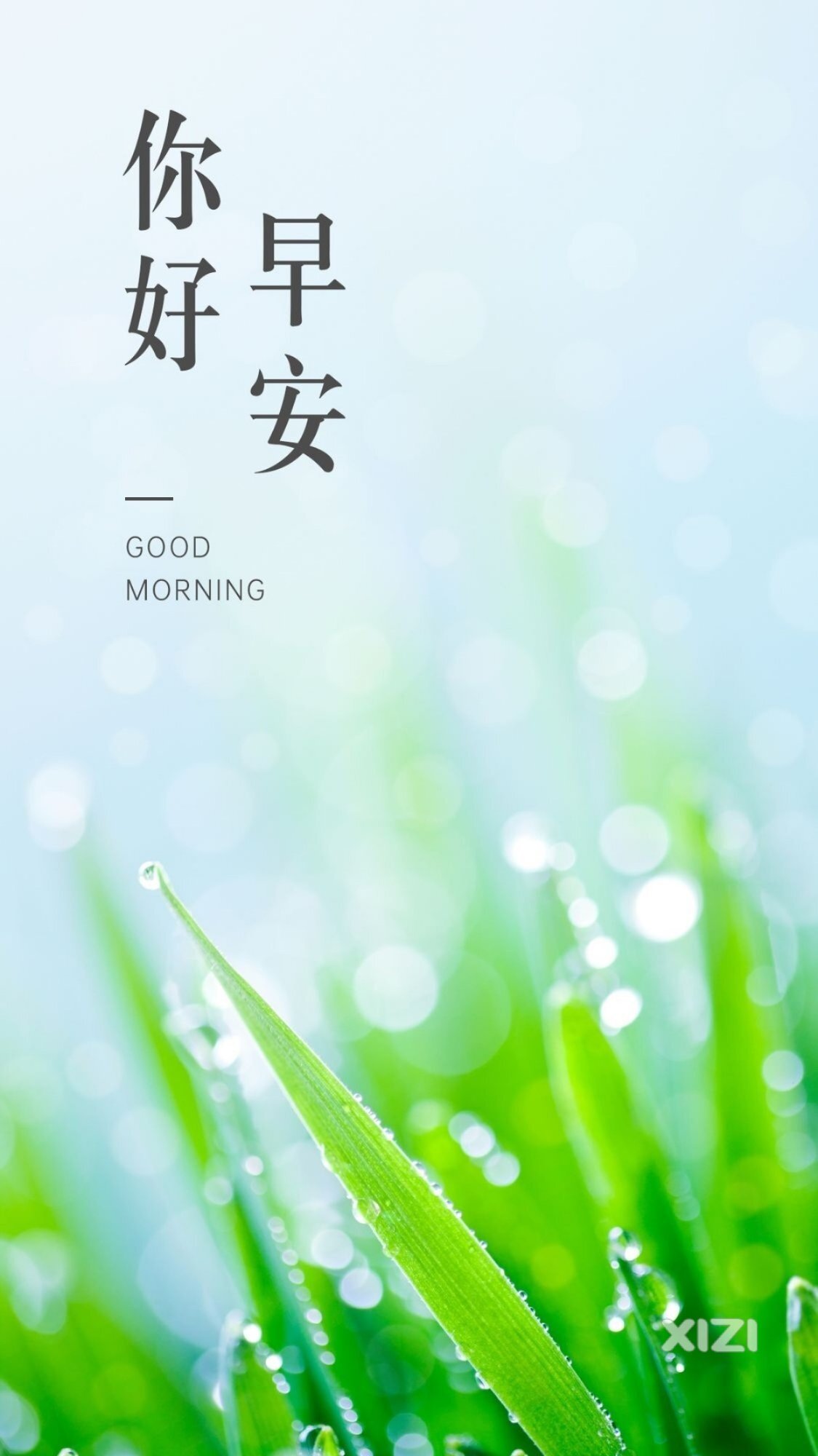 早上好！