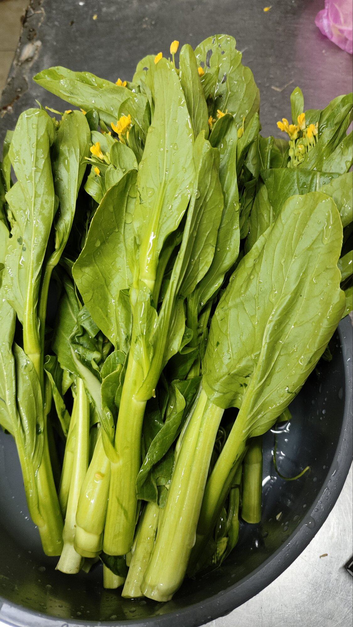 15块一斤的菜心？