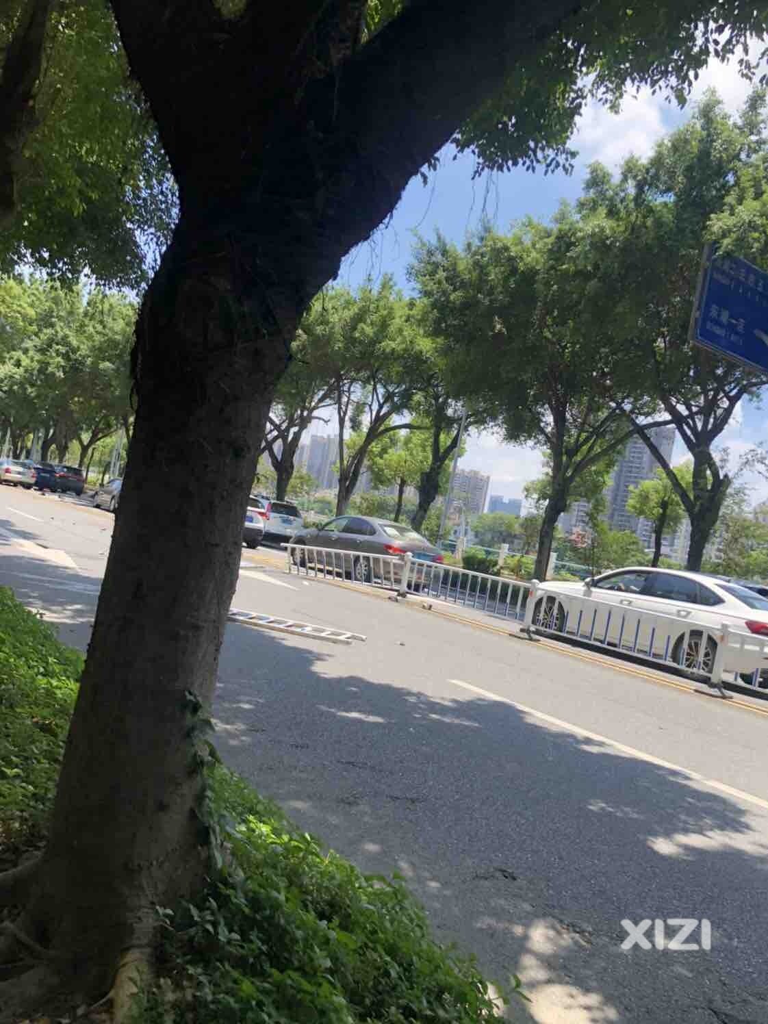 东湖路事故