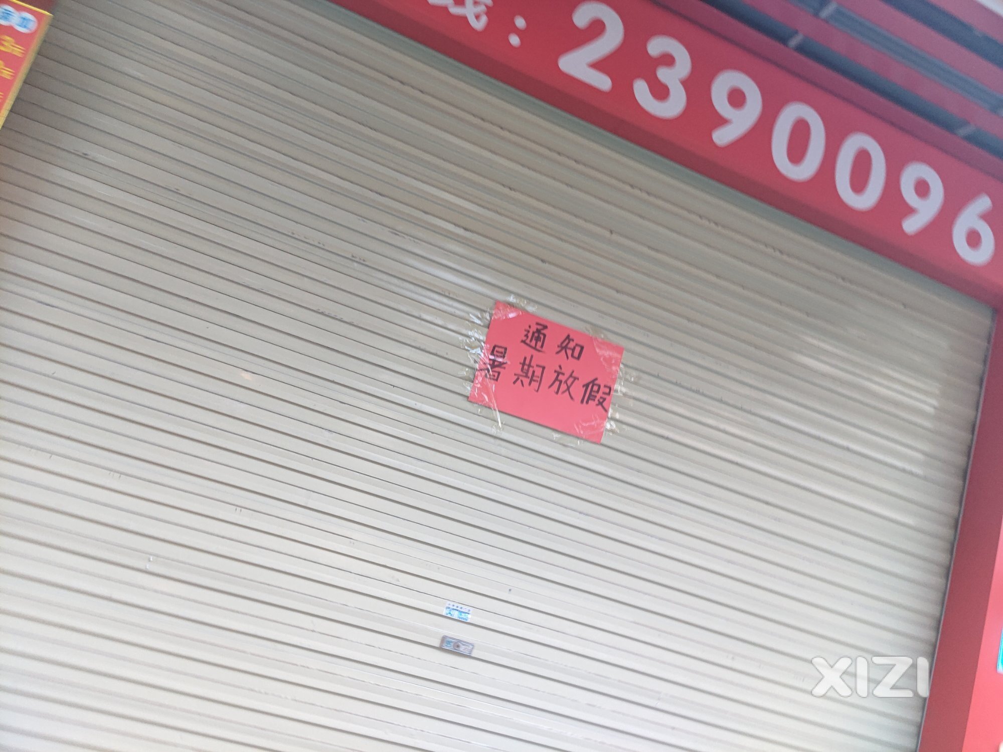 任性的老板