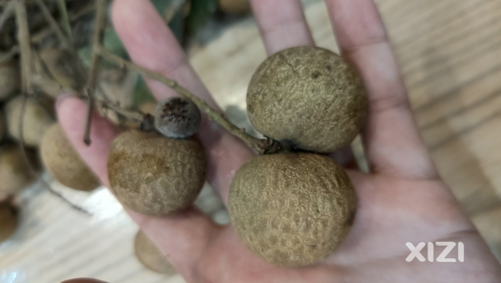 你喜欢什么水果