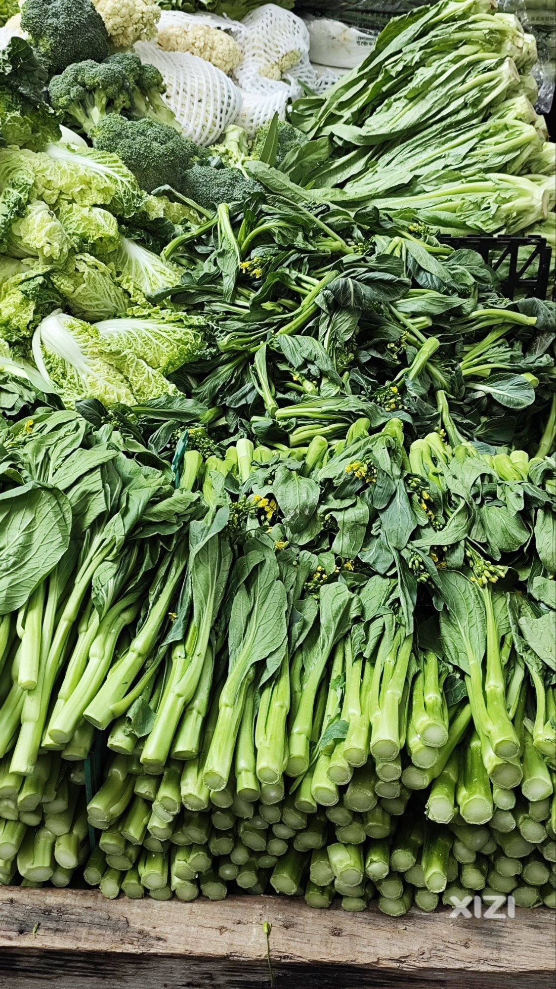 因为台风，菜价都已经开始涨了
