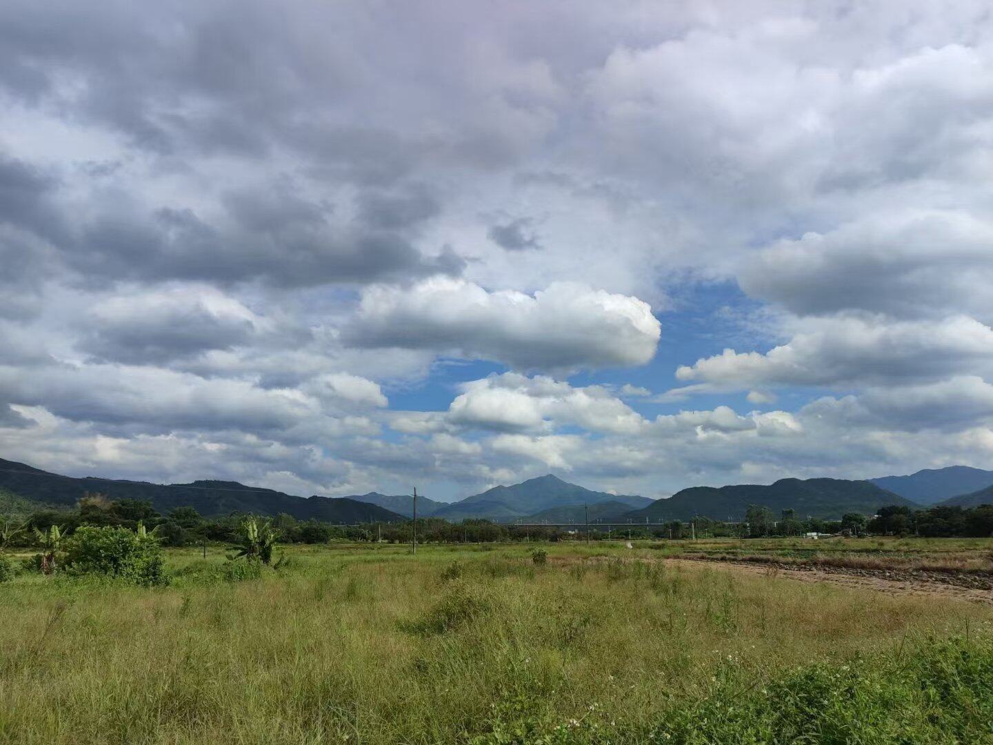 消暑乡野游