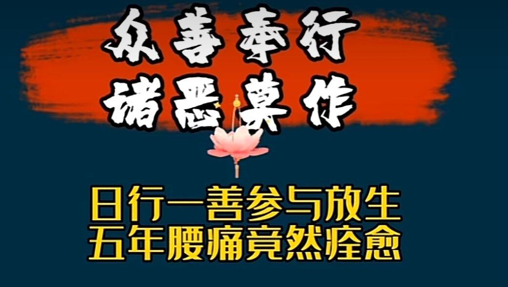 日行一善参与放生，五年腰痛竟然痊愈