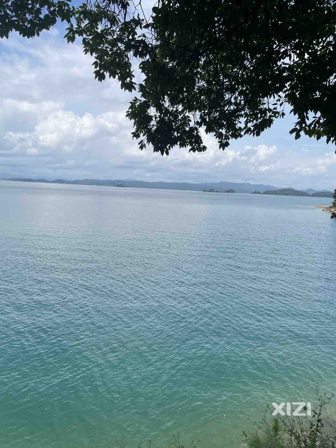 万绿湖，水很清。