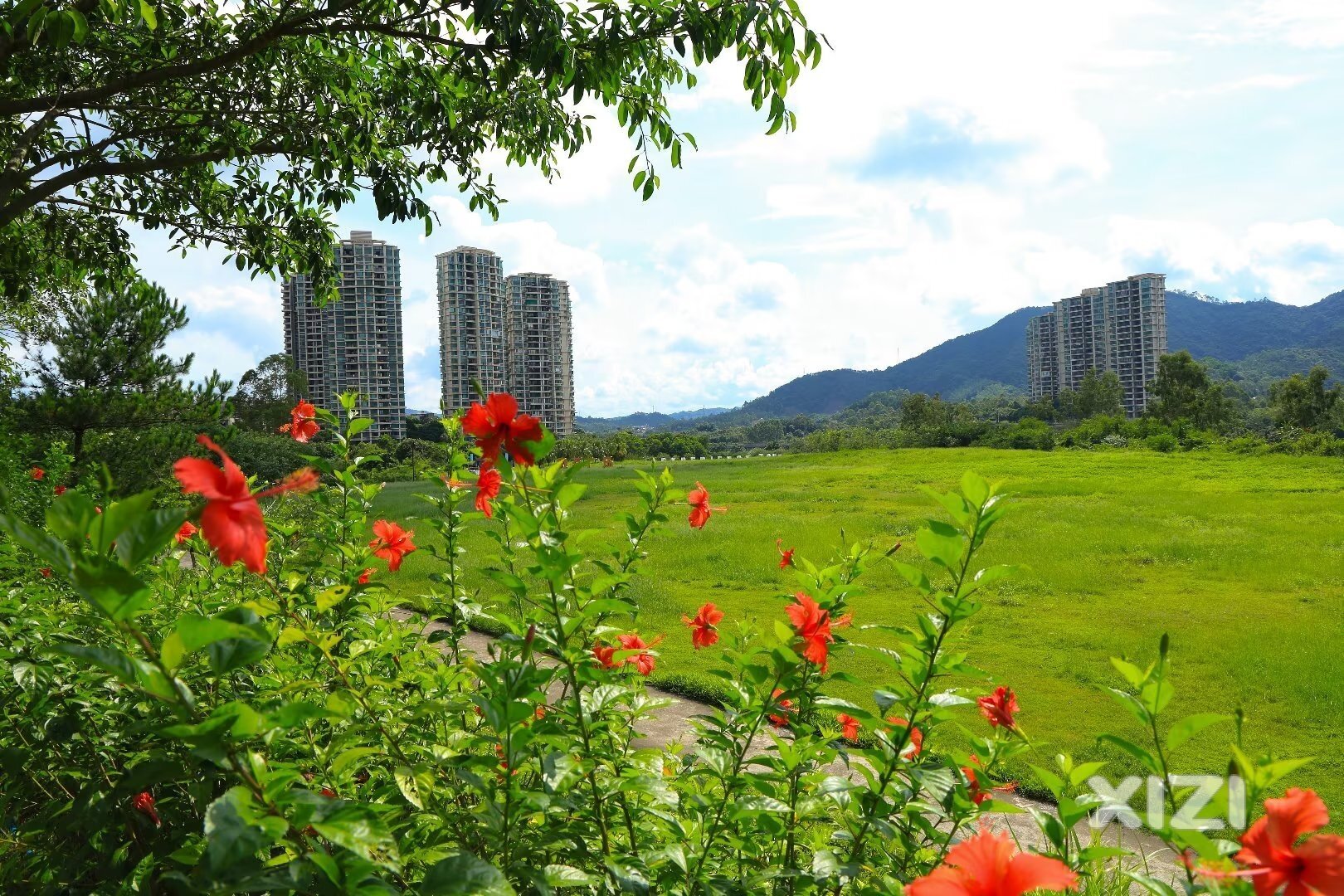 雅居乐白鹭湖