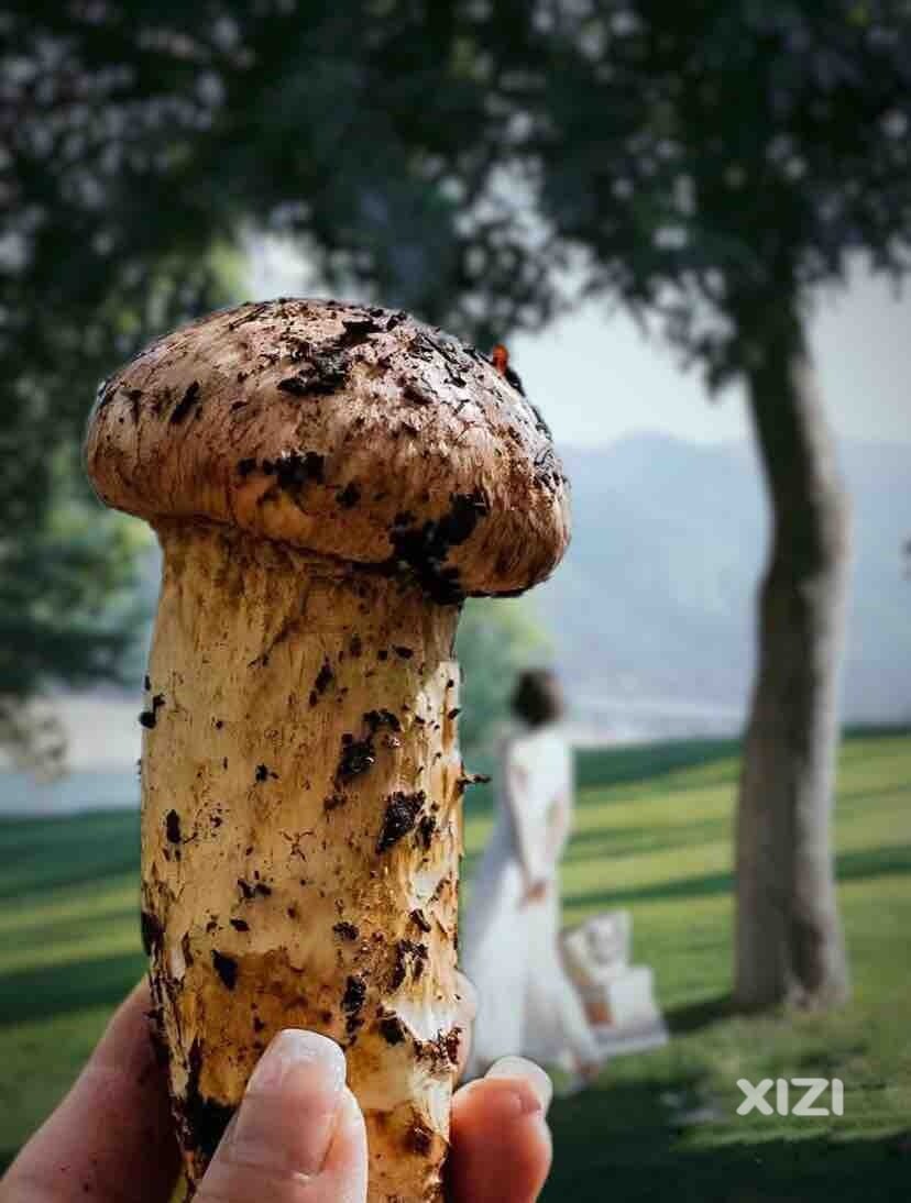 湘菌配美人，妙不可言！