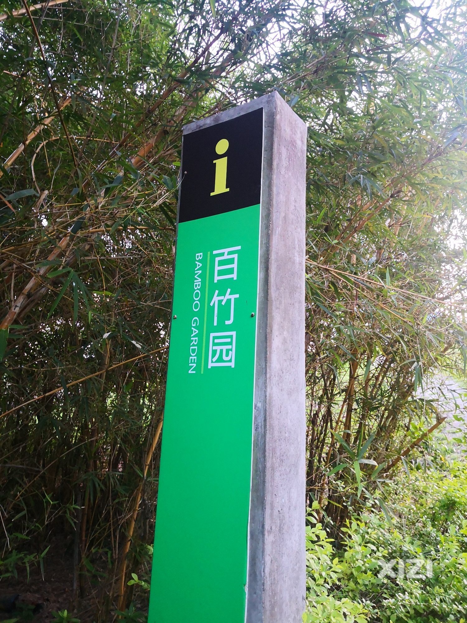 百竹园很荒凉，丛林野