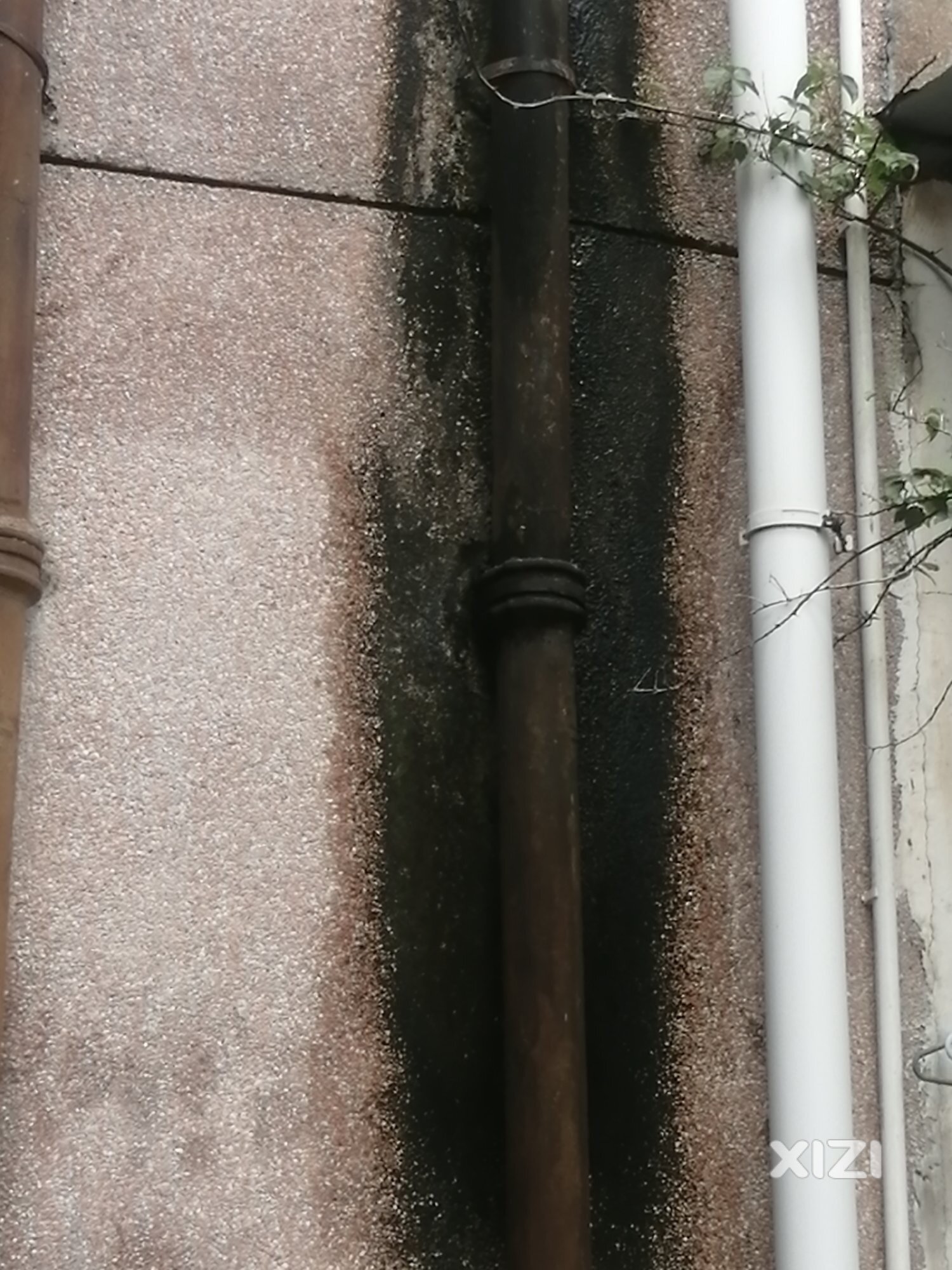 平山街道办领导进来看看