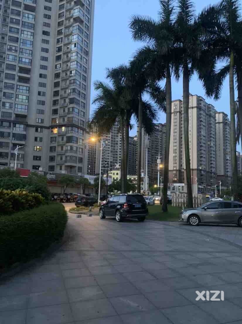 5:30晨跑爽歪歪