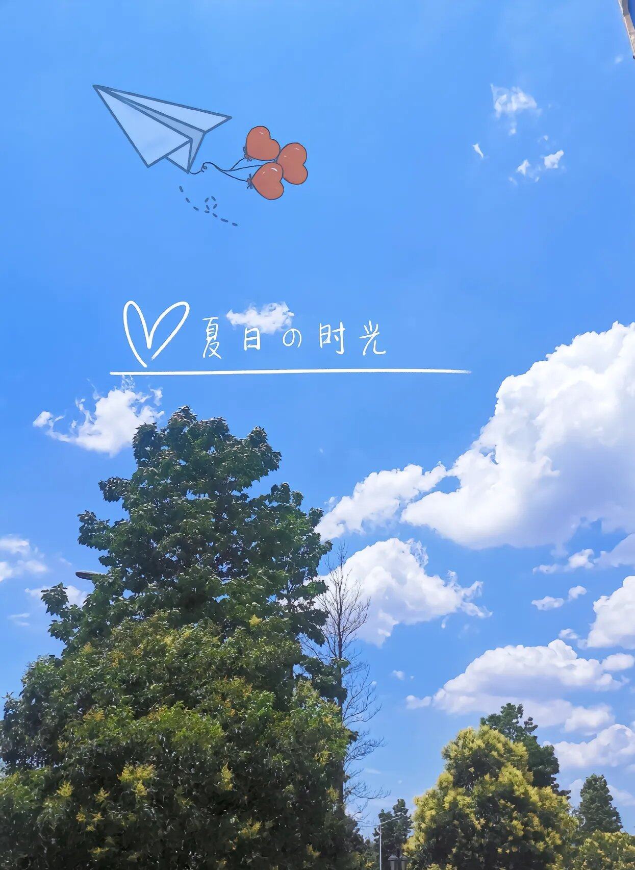 光阴似箭