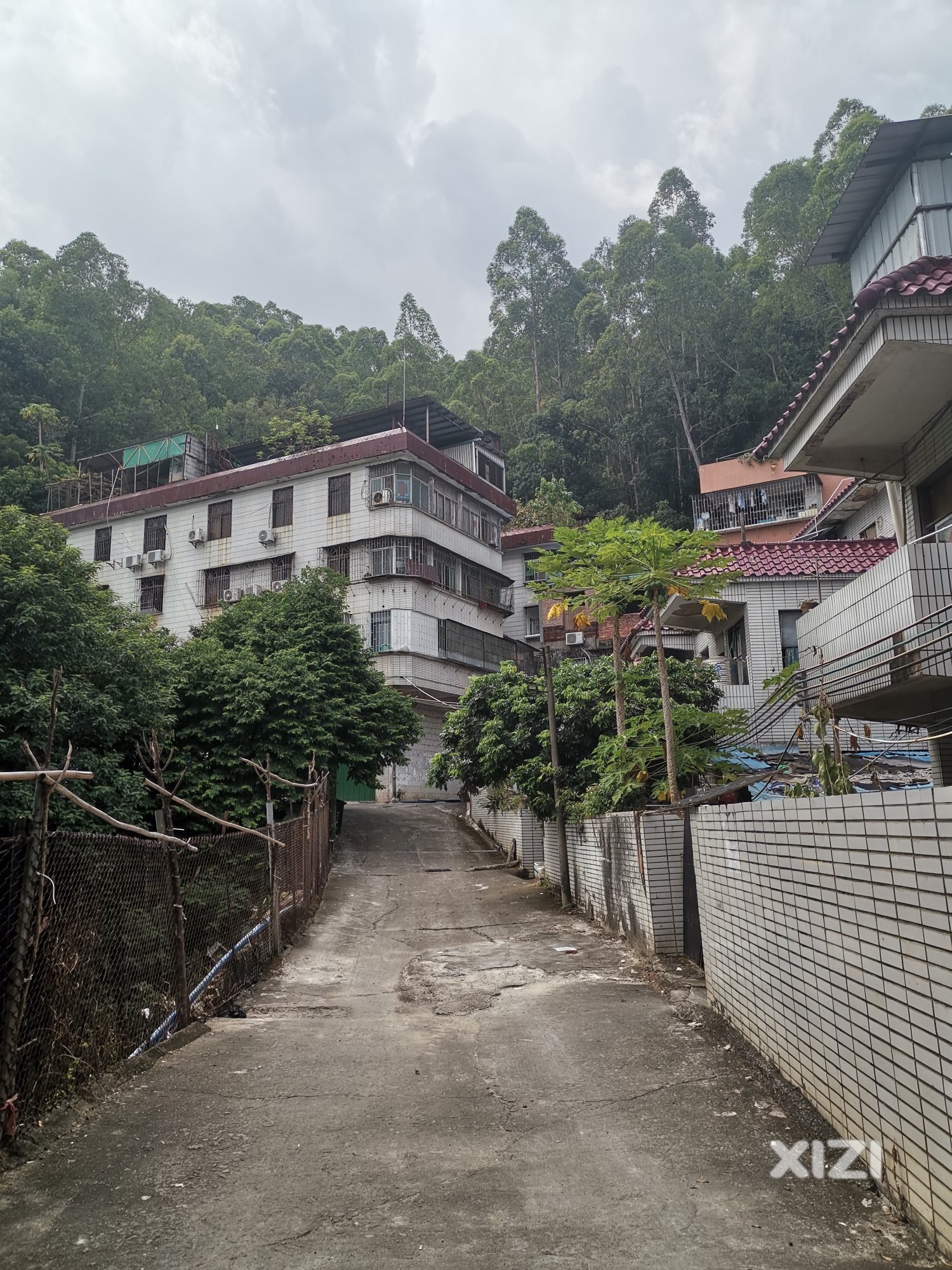 出门就是健身的刘屋山