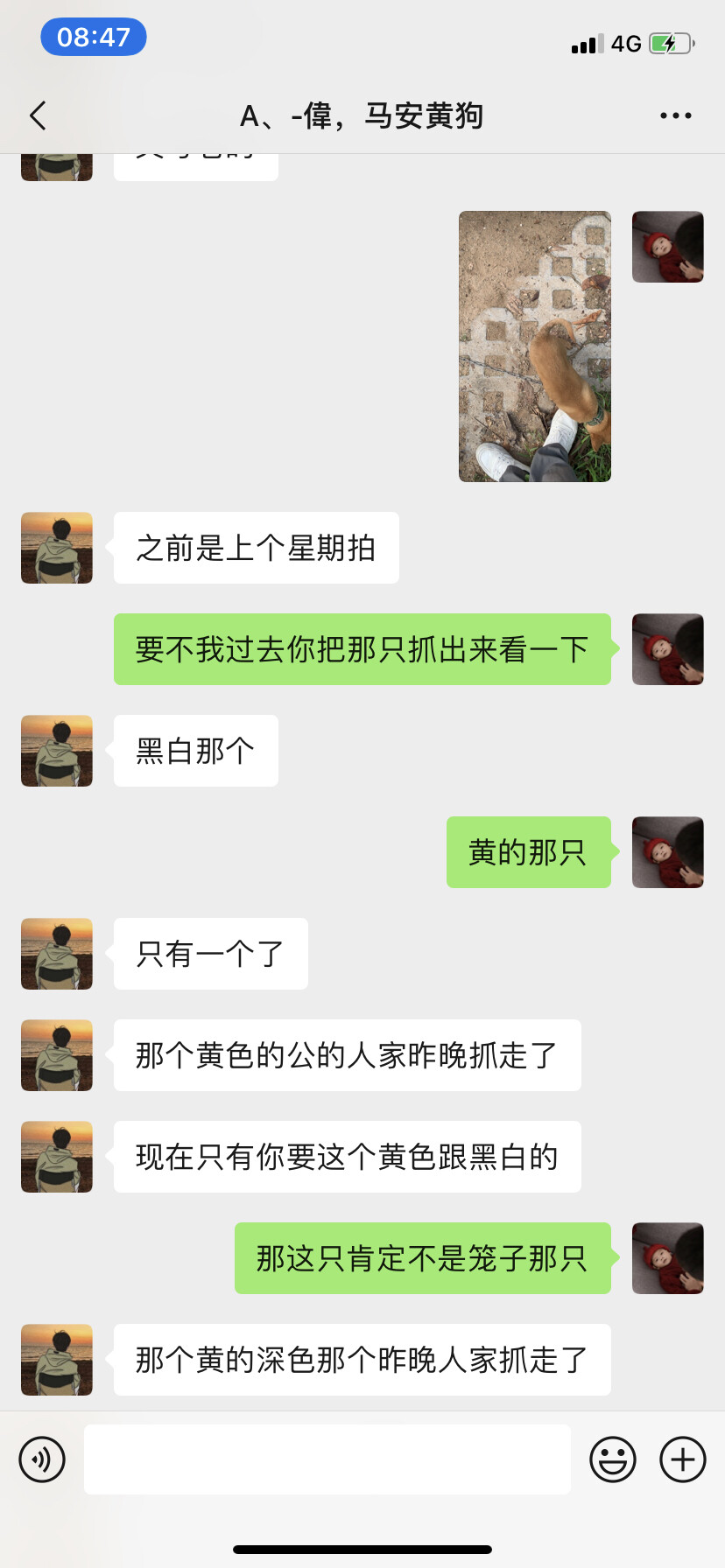 马安新乐这个人卖狗真坑