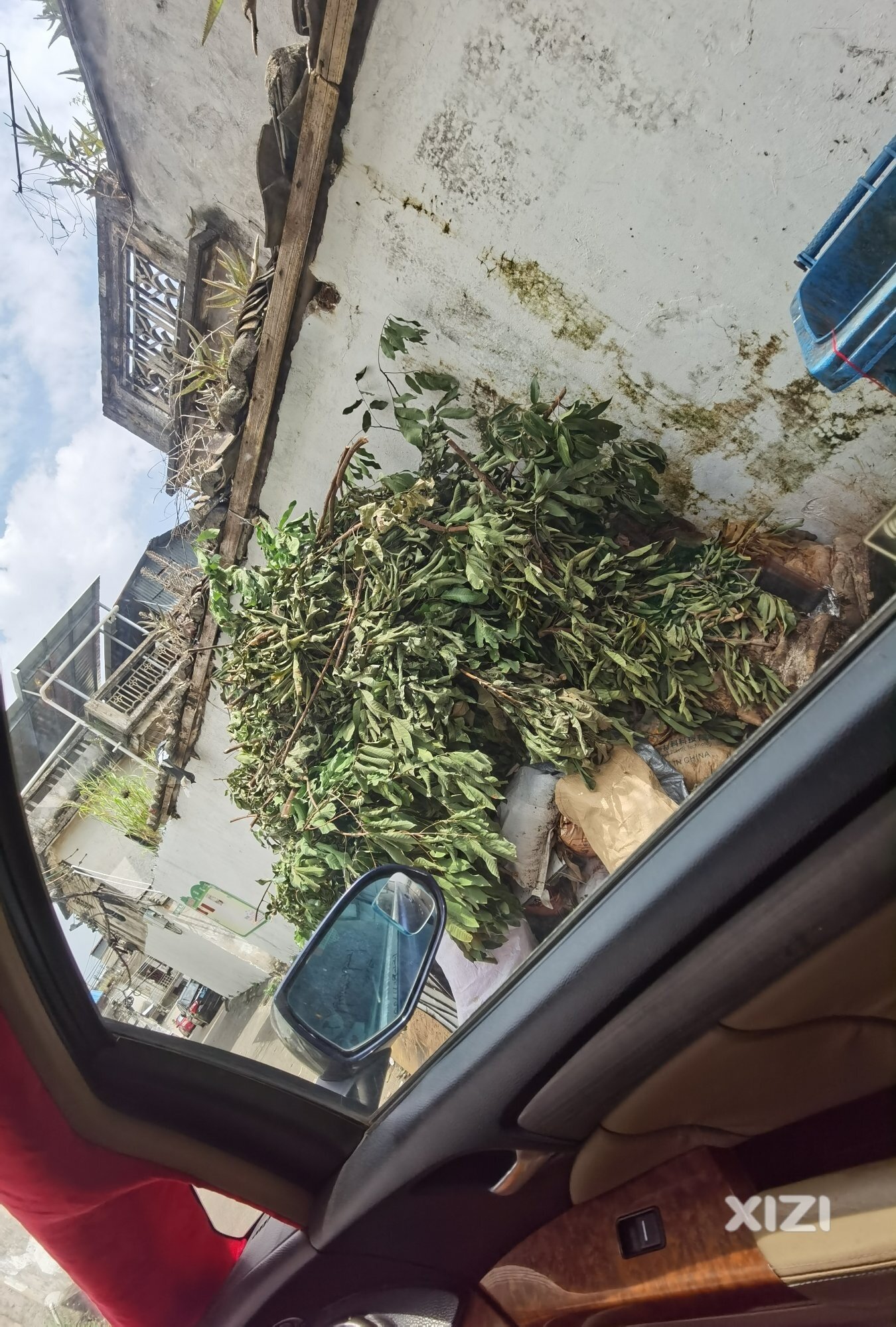 垃圾成山