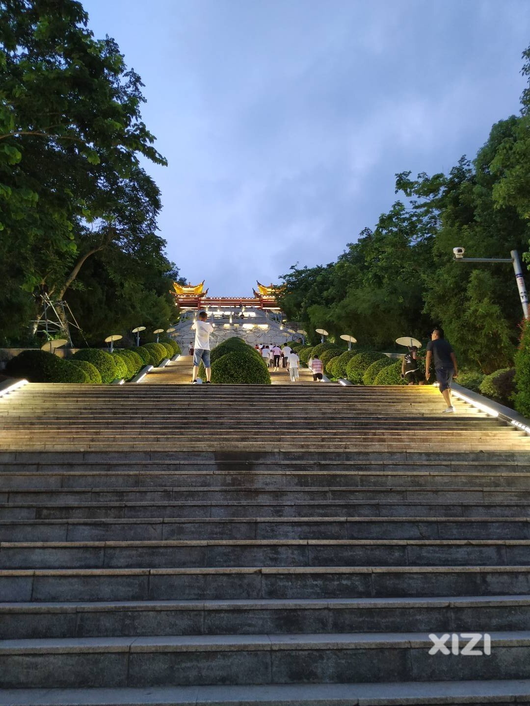 （第二天）人生只有一条路，一条路上多棵树
