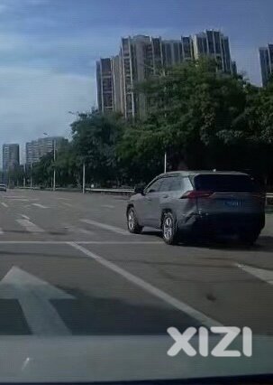 过斑马线也要小心