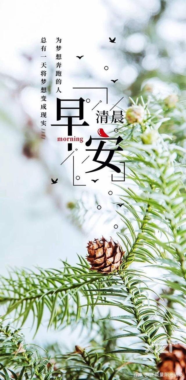 （第7天）早安 吉祥