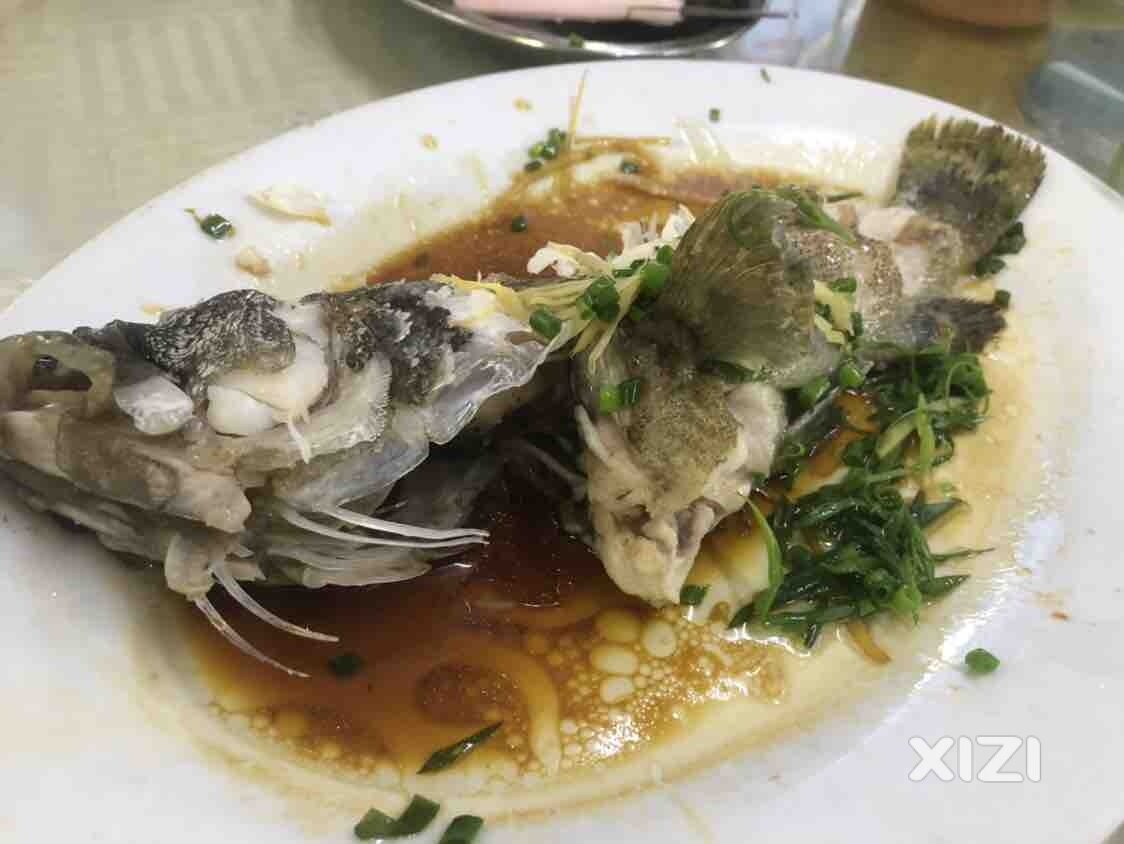 一人带三娃省内游（第8天）