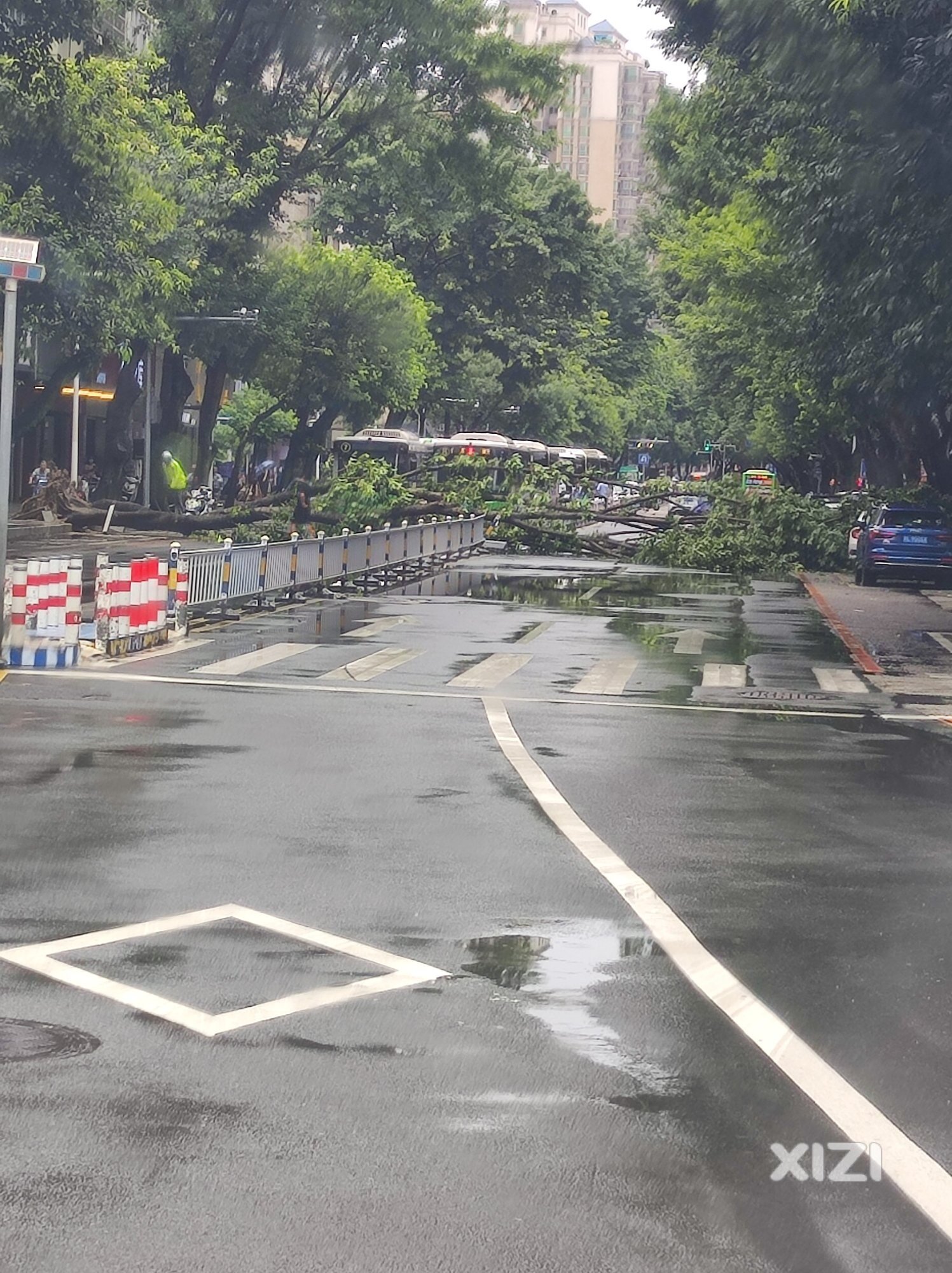 此路暂时不通