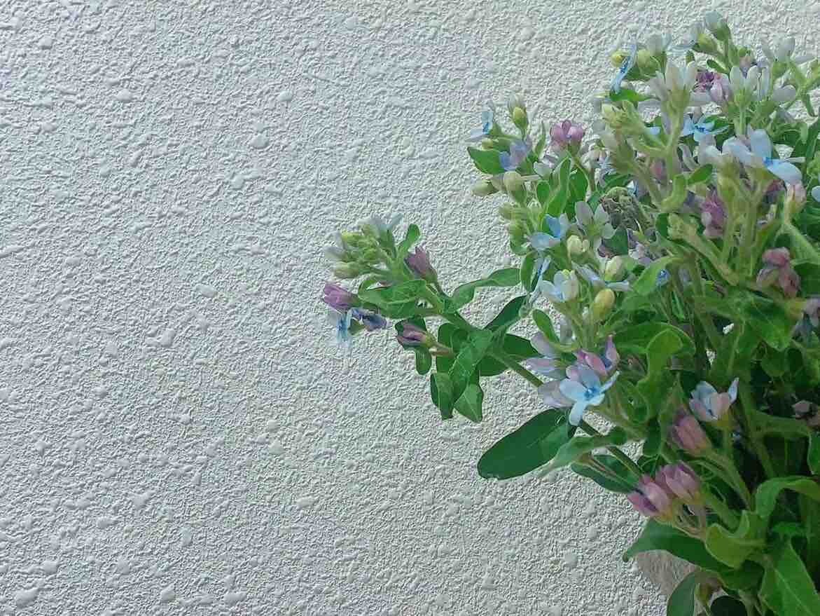 93单身大龄女青年，摆烂中…