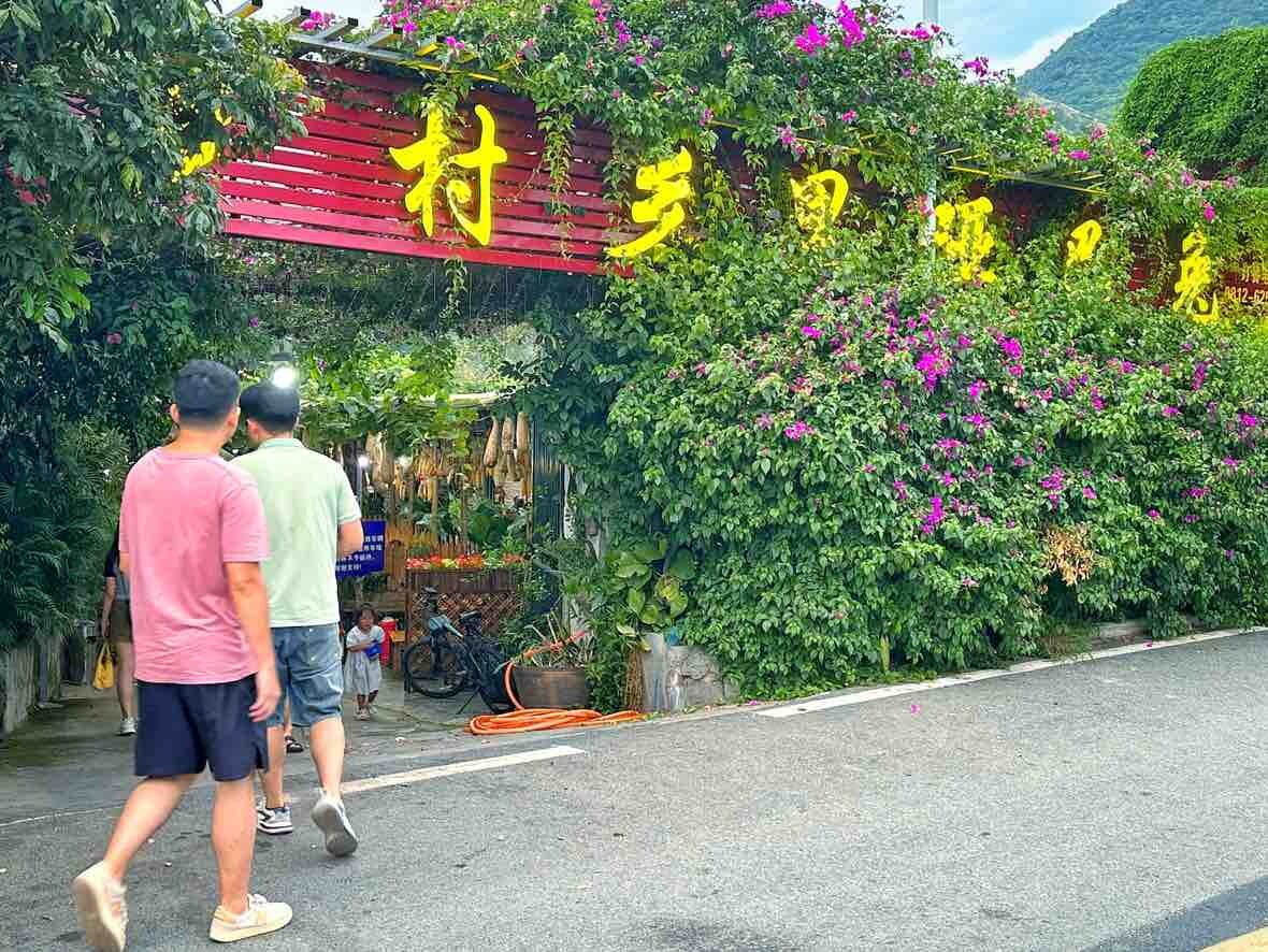 攀枝花的芒果就是靓