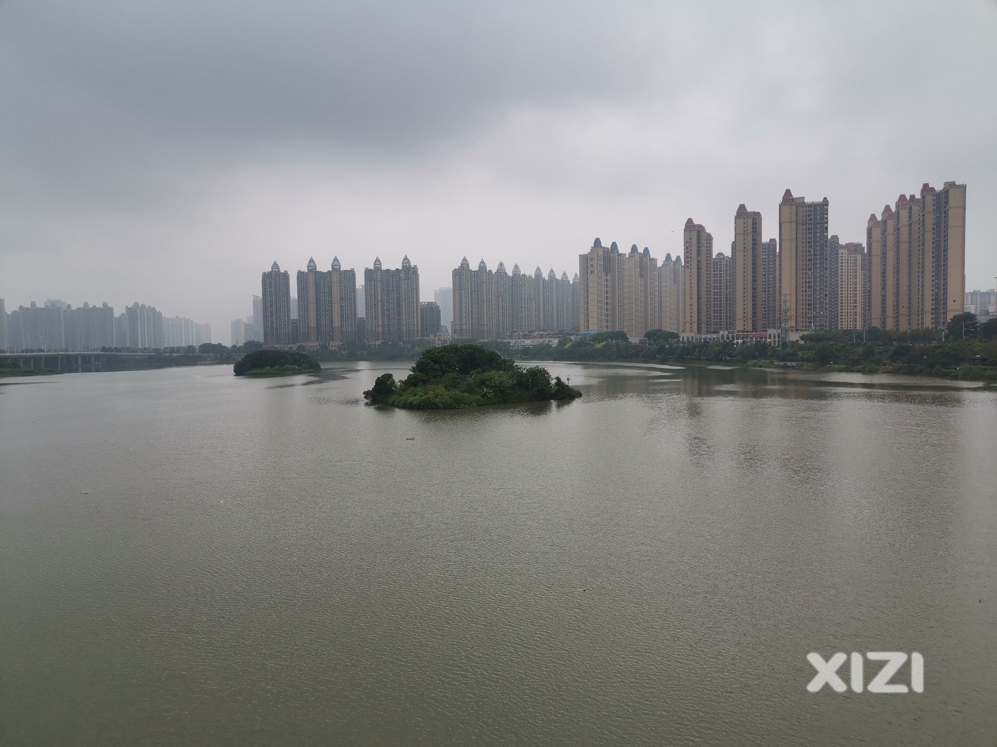 无需投料喂养的三个鸟岛