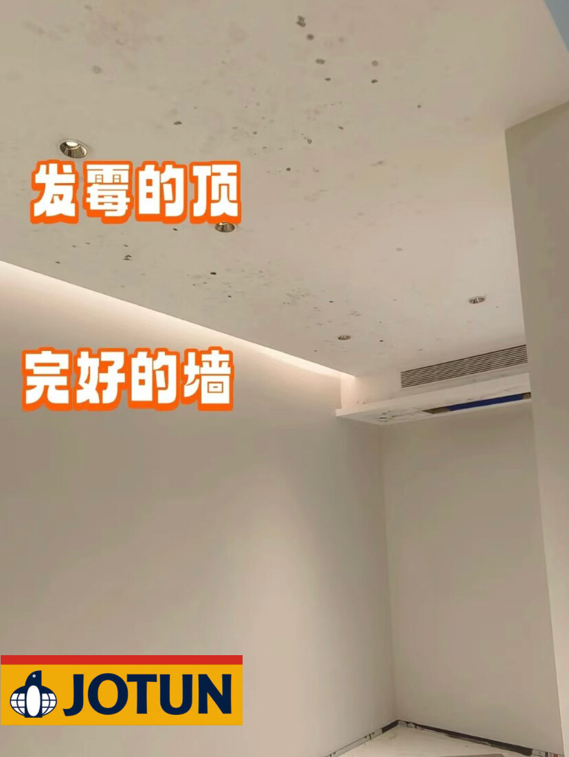 不是吹 佐敦涂料全系列零级防霉真的很🐂🍺